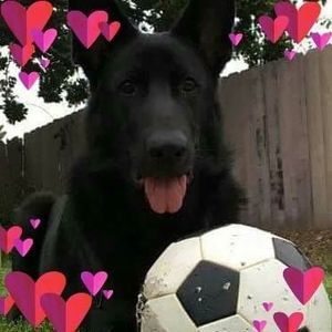 Meet your Posher, Lorena